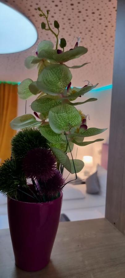 Studio-Apartment ' Andrei 1 ' - Neu In นอยบวร์ก อันแดร์ โดเนา ภายนอก รูปภาพ